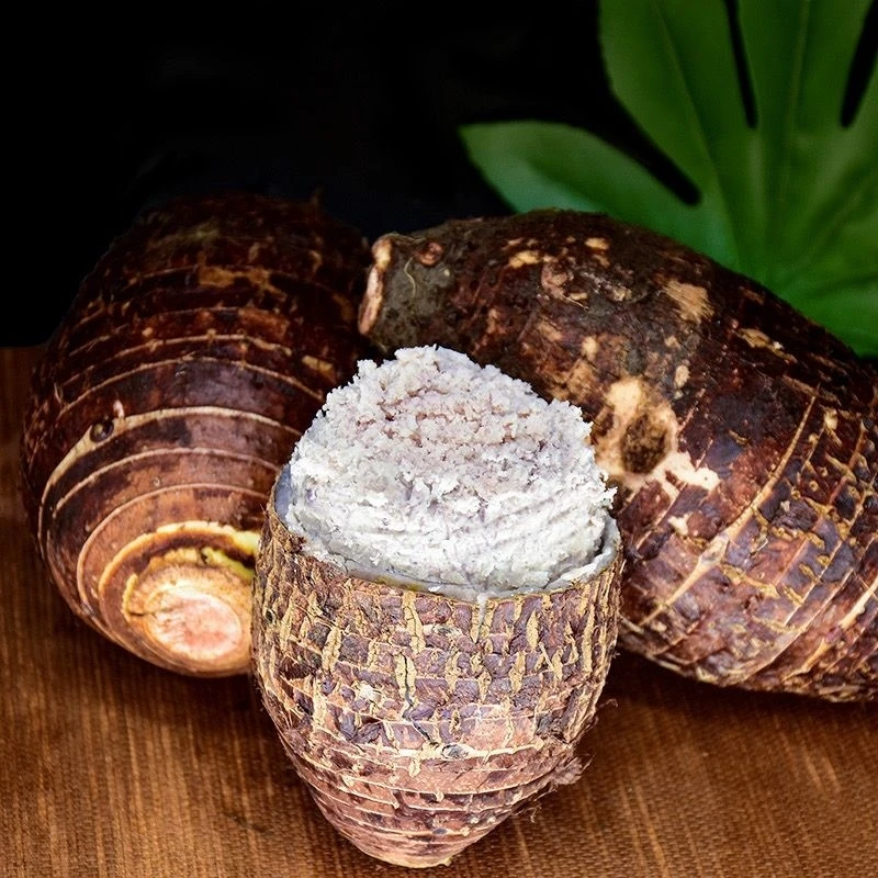 正宗荔浦芋头广西香芋新鲜采摘蔬菜软糯粉香糯农家自种坏果包退