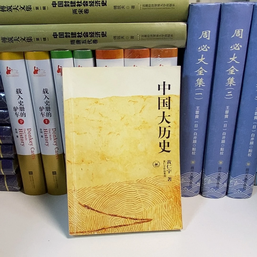 中国大历史……我也