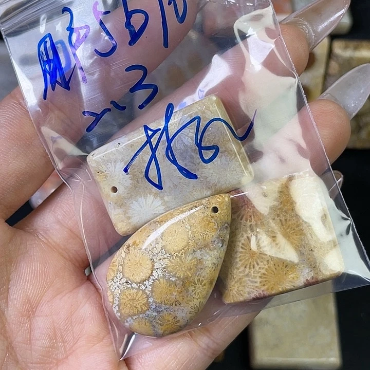 硅化珊瑚（珊瑚玉）珠宝金石合金用****4