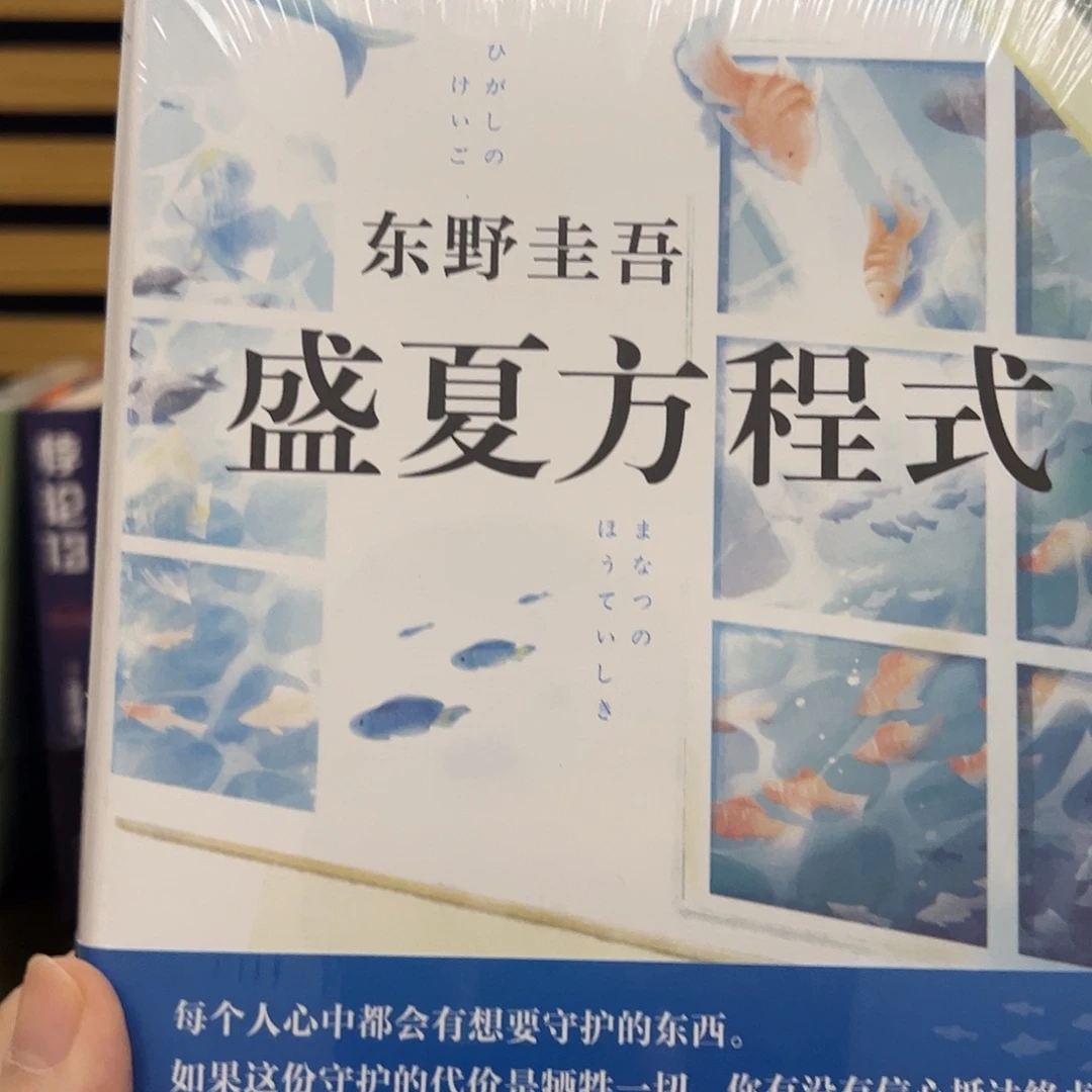 东野 盛夏方程式 精装