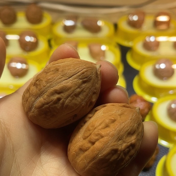 文玩核桃吊坠光头大枣