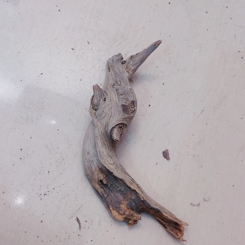 【闪购商品】柏木7*太行天下第一