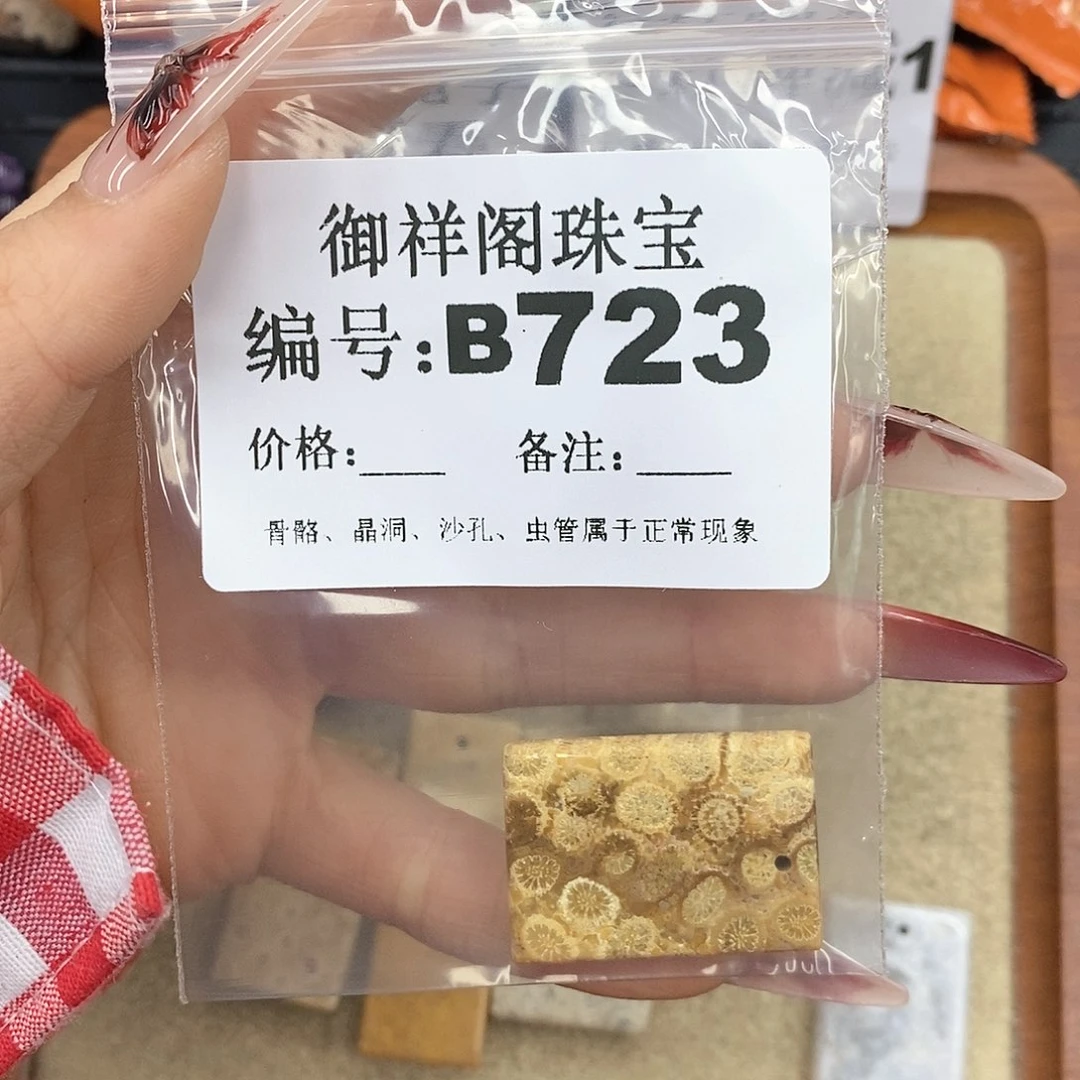 硅化珊瑚（珊瑚玉）颈饰未镶嵌杏*