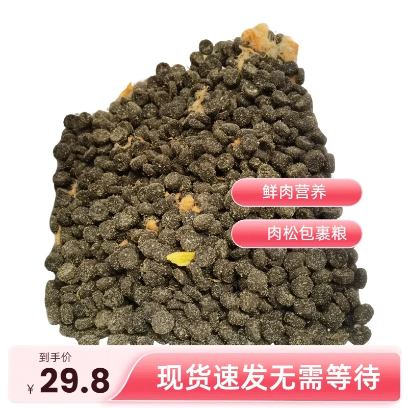 美毛亮毛肉松包裹金毛柯基边牧德牧西高地比熊全犬期全体型狗狗