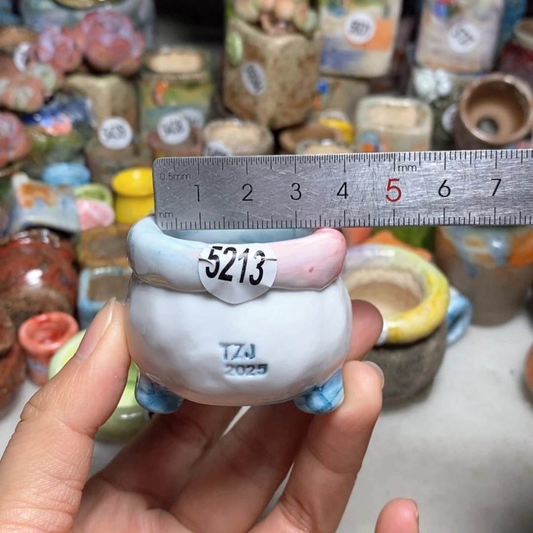 拍5送一个小礼物