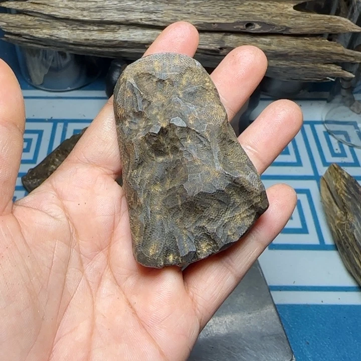 香粉母树紫奇包头20克