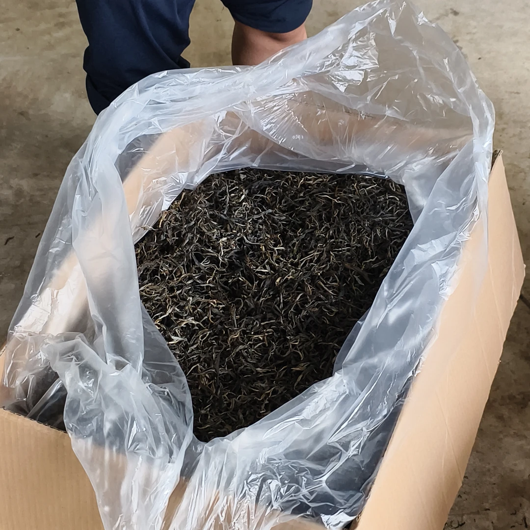 勐海班章村委会老班章2025年老班章普洱生茶散500克/份