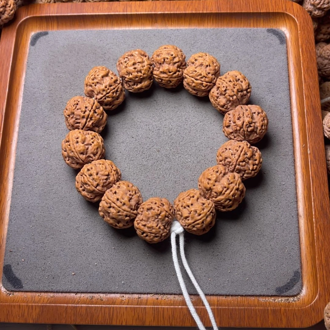 菩提籽类1号金刚菩提蜂窝双龙24