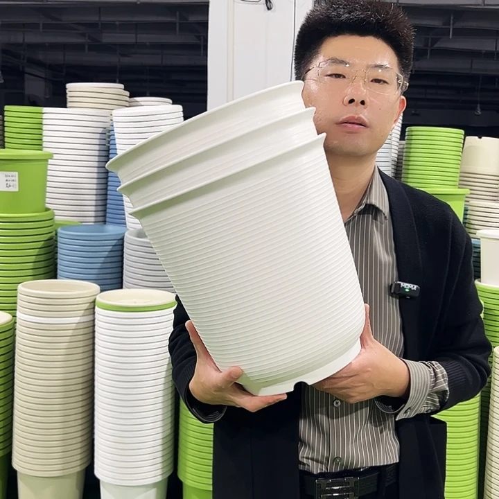 正品高陶口30高31白色3只带托