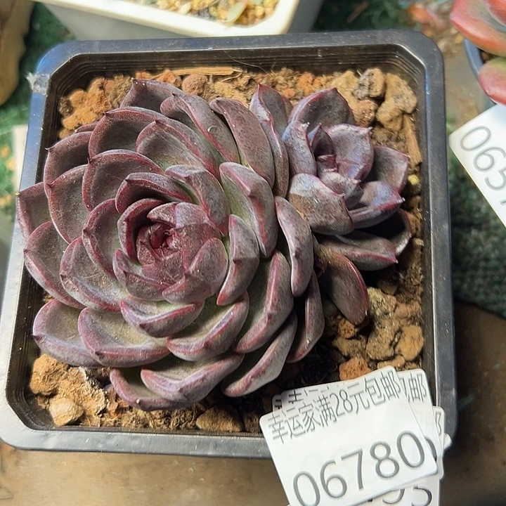 幸运的是我没有遇到