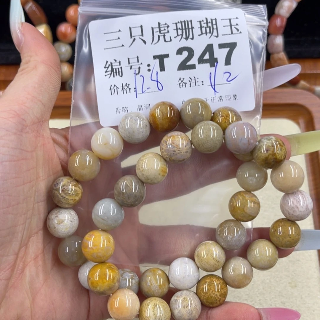 丽***华硅化珊瑚（珊瑚玉）h未镶嵌