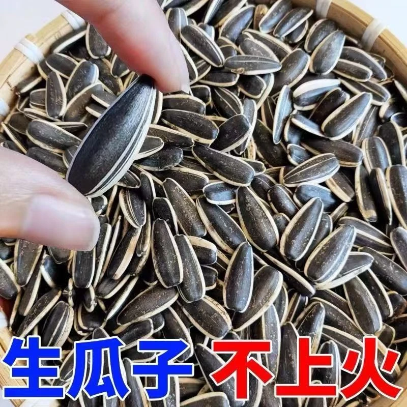 【买一送一】2025精选原味内蒙生瓜子大颗粒无添加健康零食办公