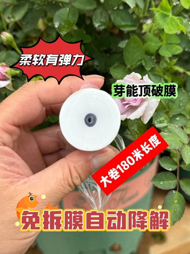 免拆嫁接膜自动降解芽穿刺打接嫁接膜老款嫁接膜