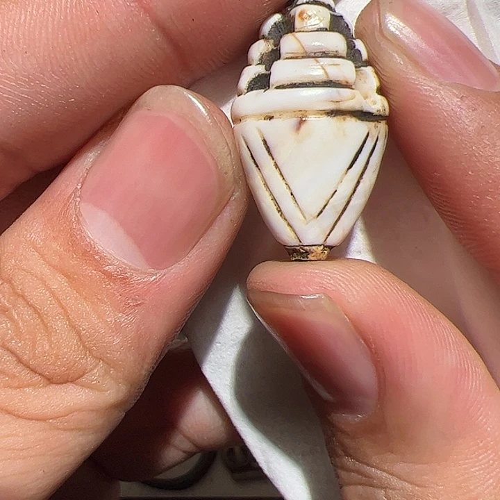 香榧木你的时候你