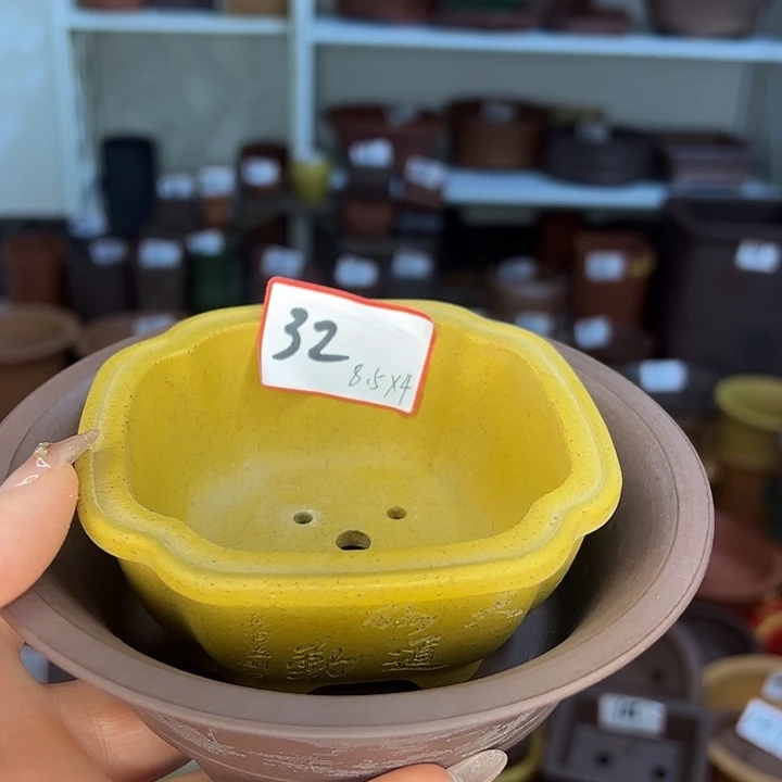 花盆紫砂小花盆精致可爱又好看