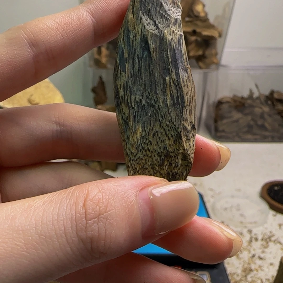 0***天沉香沉香碎屑紫棋