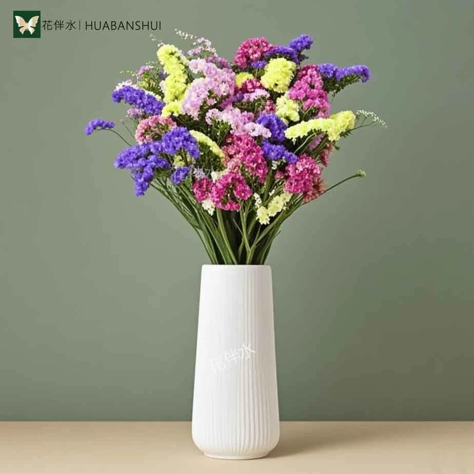 【花伴水】新人福利带盆勿忘我半干花真花鲜艳客厅摆件无需加水