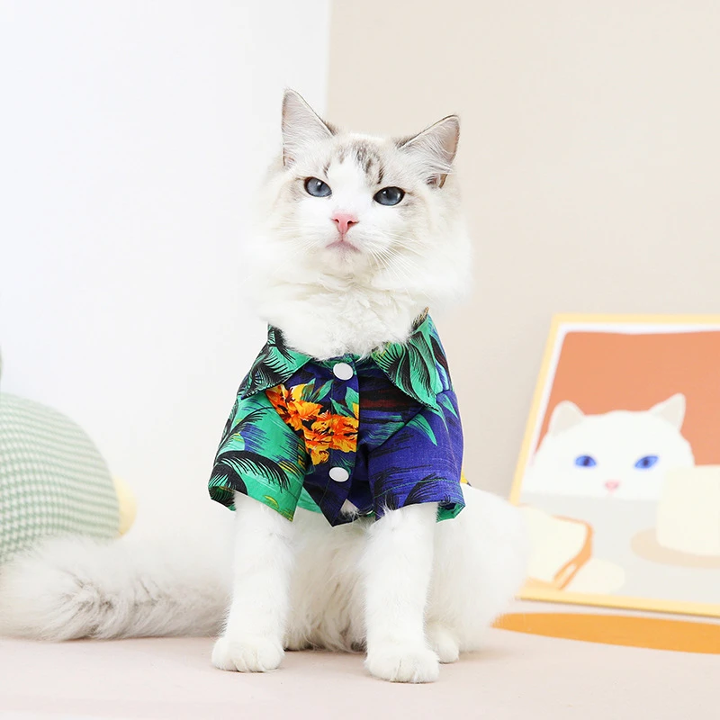 宠物猫咪狗狗沙滩风格小猫衣服波斯猫缅甸猫春夏服装