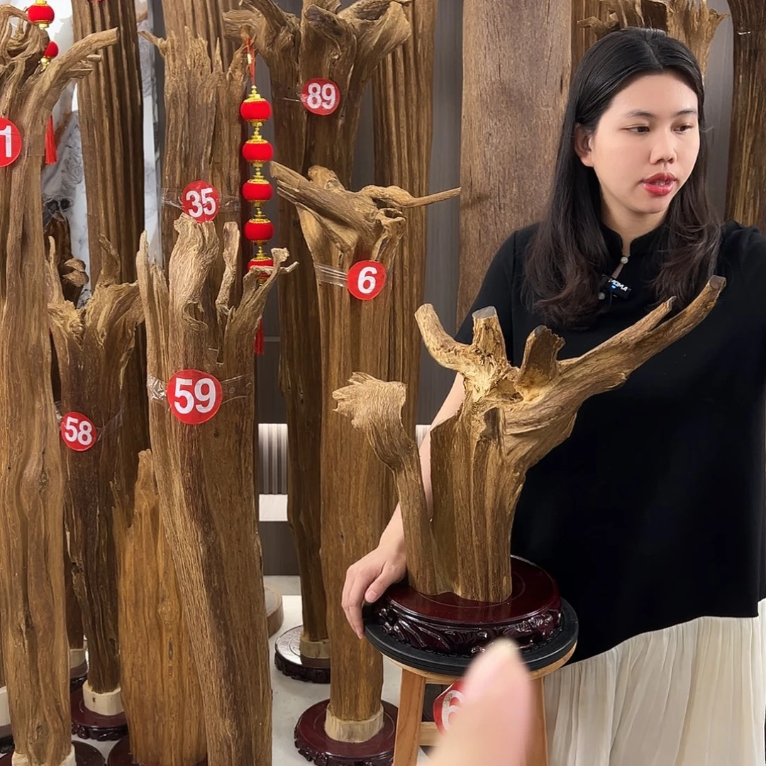 云***淡沉香碎屑沉香天然沉香