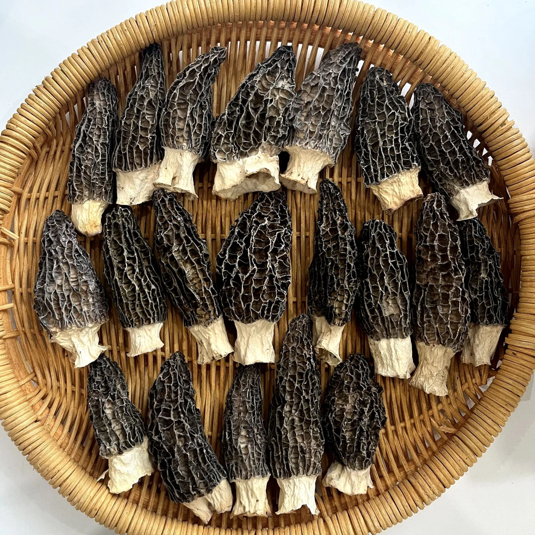 【水润君赵】干货羊肚菌-头茬煲汤新鲜优选高档食材菌菇食用野生菌