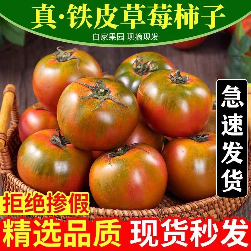 【实惠抢5斤】铁皮柿子丹东品种草莓柿子孕妇水果番茄西红柿福建仓