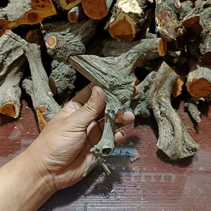 顺***天崖柏原叉崖柏原叉
