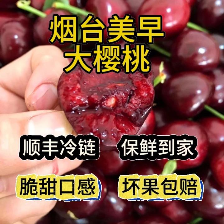 【樱桃】【空运】烟台高甜美早，3J，10-12g，坏果包赔，2.8斤 内附果径卡