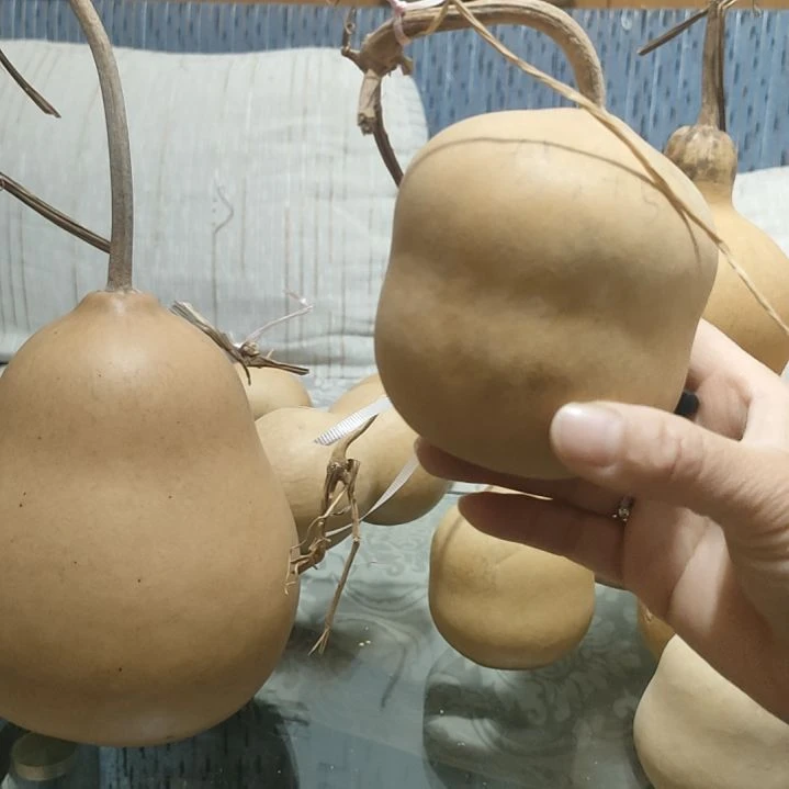 *****藤家居摆件，葫芦摆件