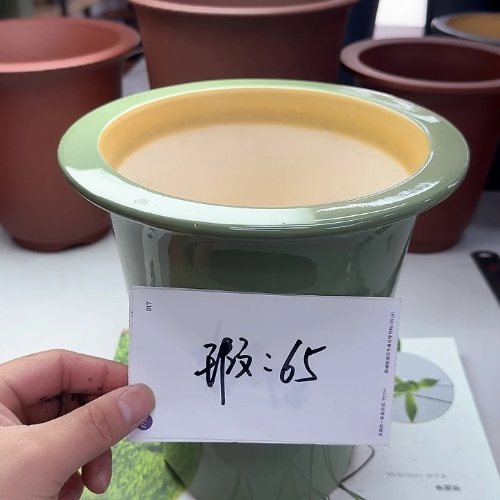 红陶222222222222222