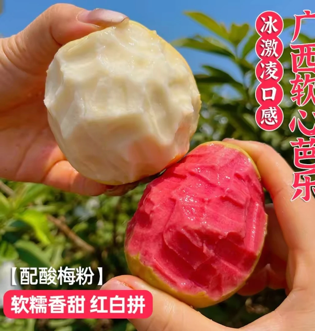 正宗广西奶油芭乐新鲜果园现摘现发红心白心应季水果整箱