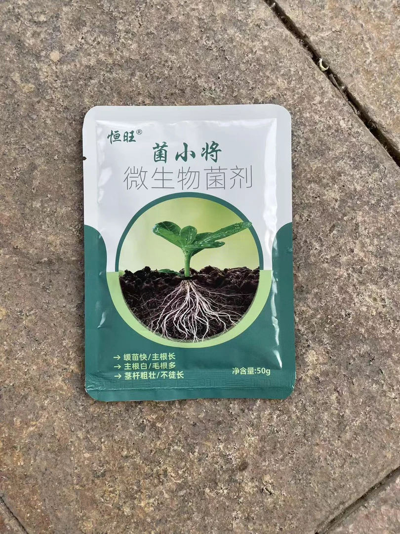 菌小将：解决高低温等各种逆境环境下根系难下扎问题，无需缓苗直接