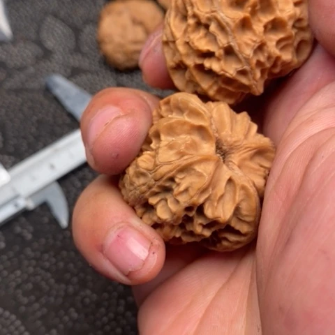 文玩核桃把件苹果5.5