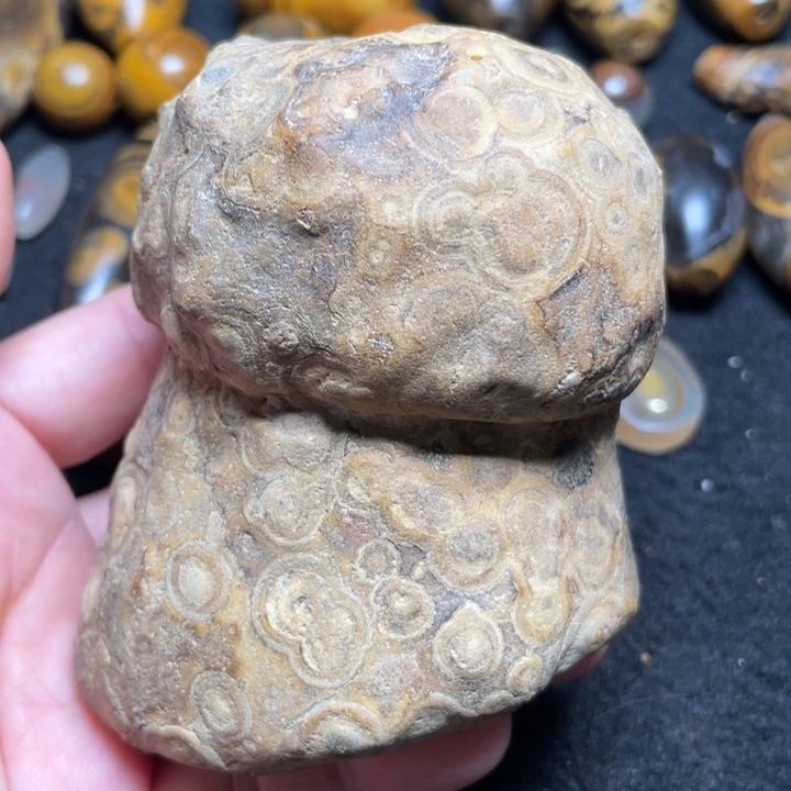 石材纯天然奇石原石76