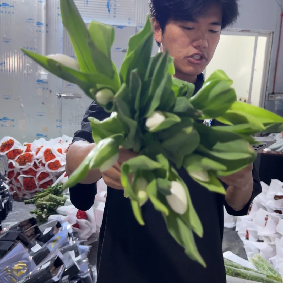 白色郁金香1扎包邮价秒杀