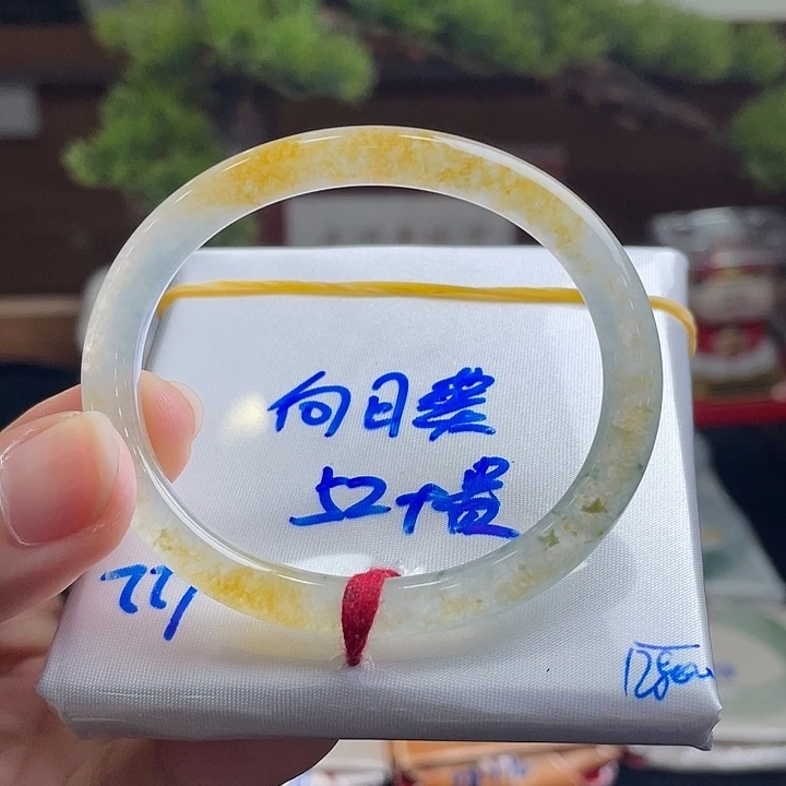 翡翠未镶嵌手镯3号 52+ 贵妃 向日葵