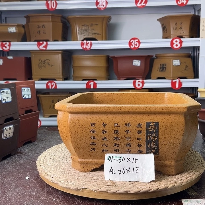 紫砂花盆蛇年大吉