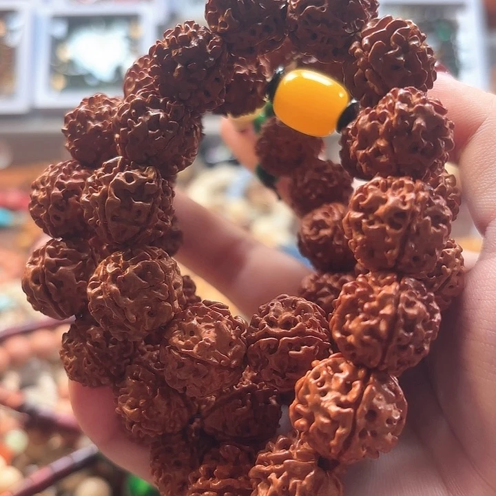手串菩提根/象牙果