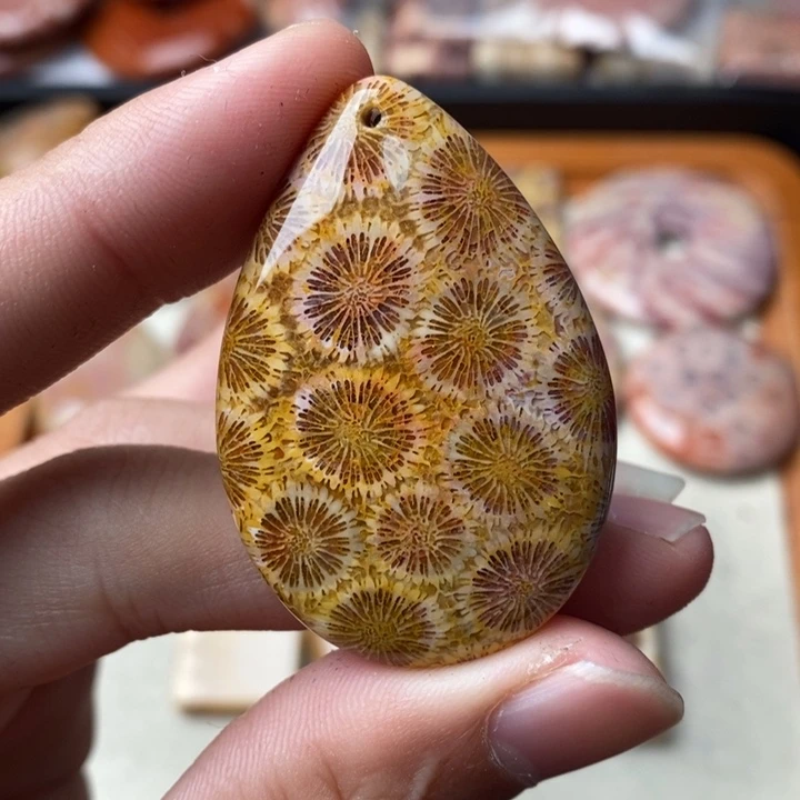 硅化玉颈饰未镶嵌庞*