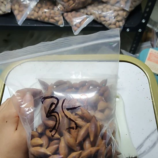 基***睿吊坠橄榄核紫皮柳叶