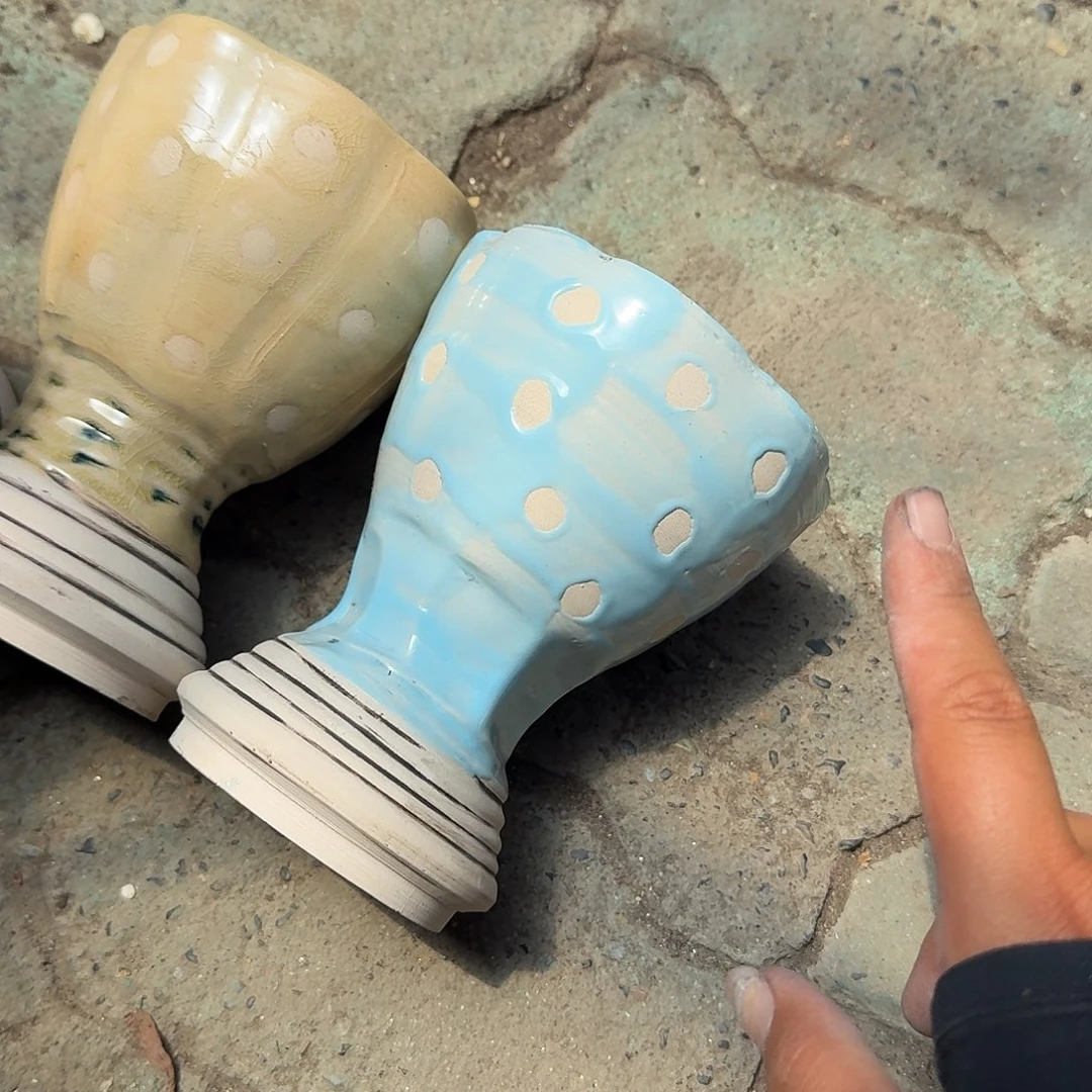 蓝色以西花盆多肉植物