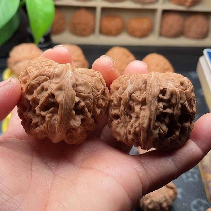 文玩核桃把件全品门墩边45肚49