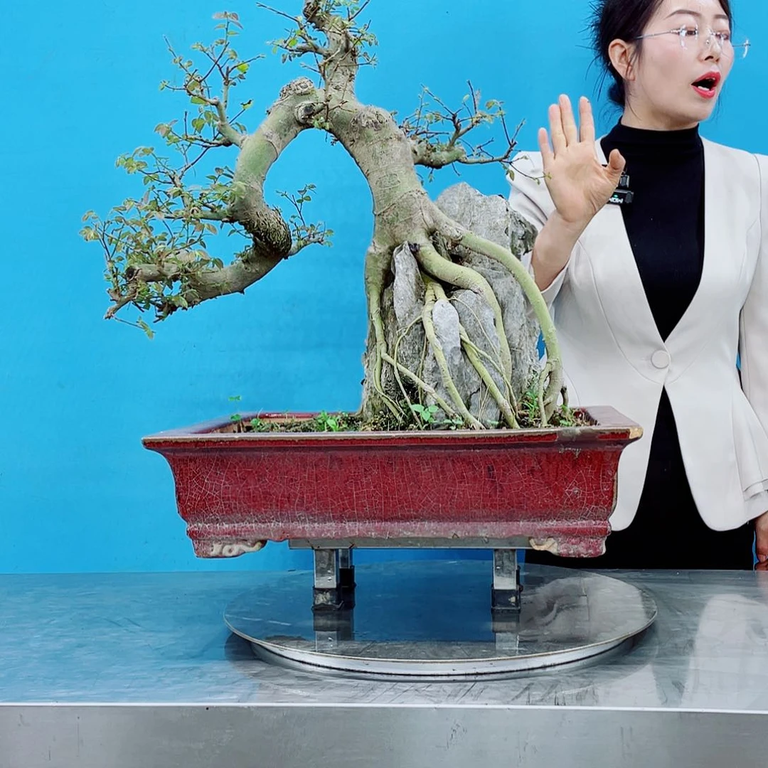 无铅玻璃岭南文化艺术中心的