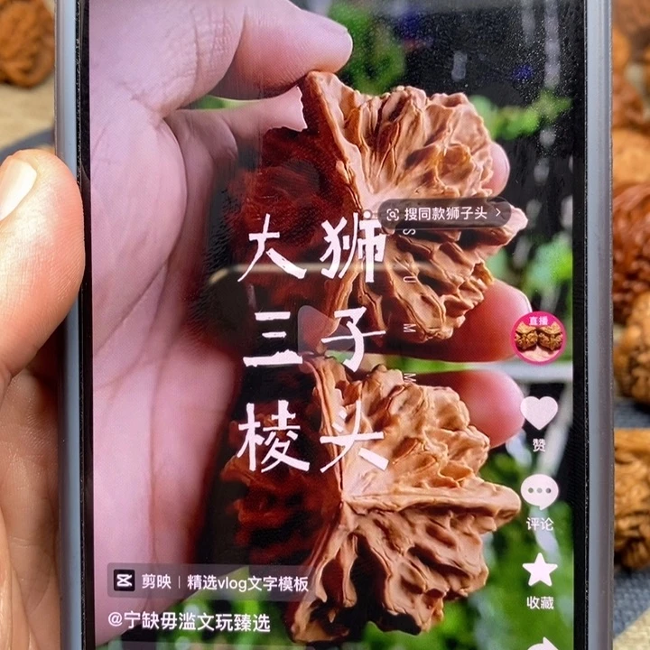 文玩核桃吊坠M****r核桃