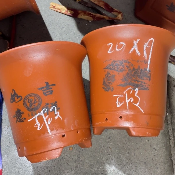 周深周深周深周深周深