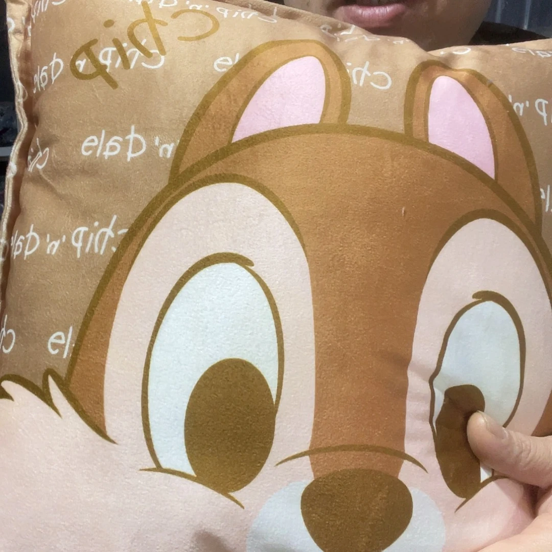 瑕疵款抱枕43*43厘米4个包邮946