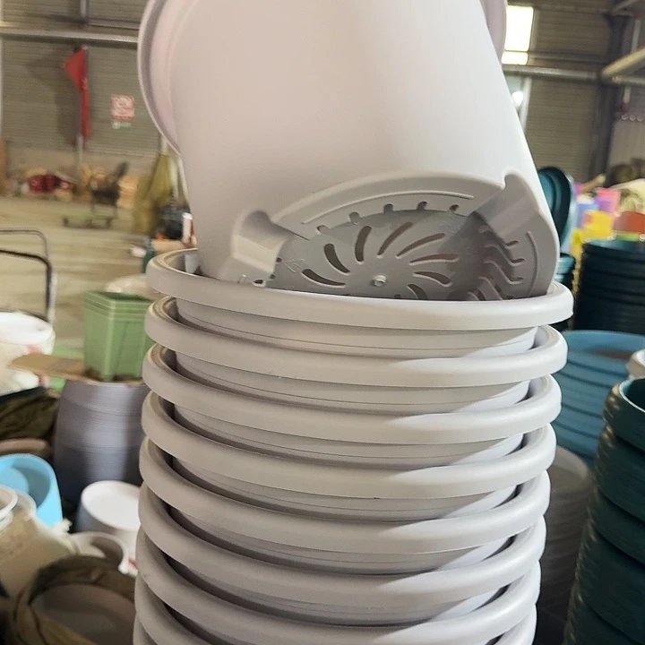 四季6号新灰白无托10个特价