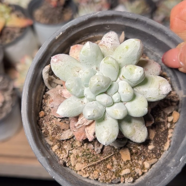 131哈哈哈哈哈哈哈哈