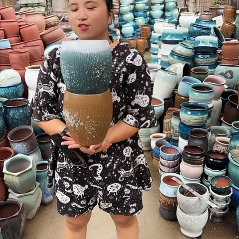口16高20两个盆子。