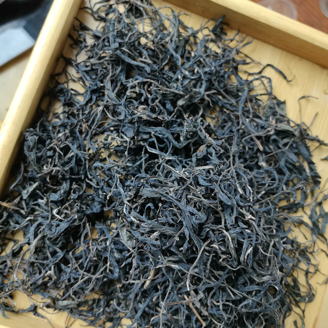云南高山变异种紫娟茶