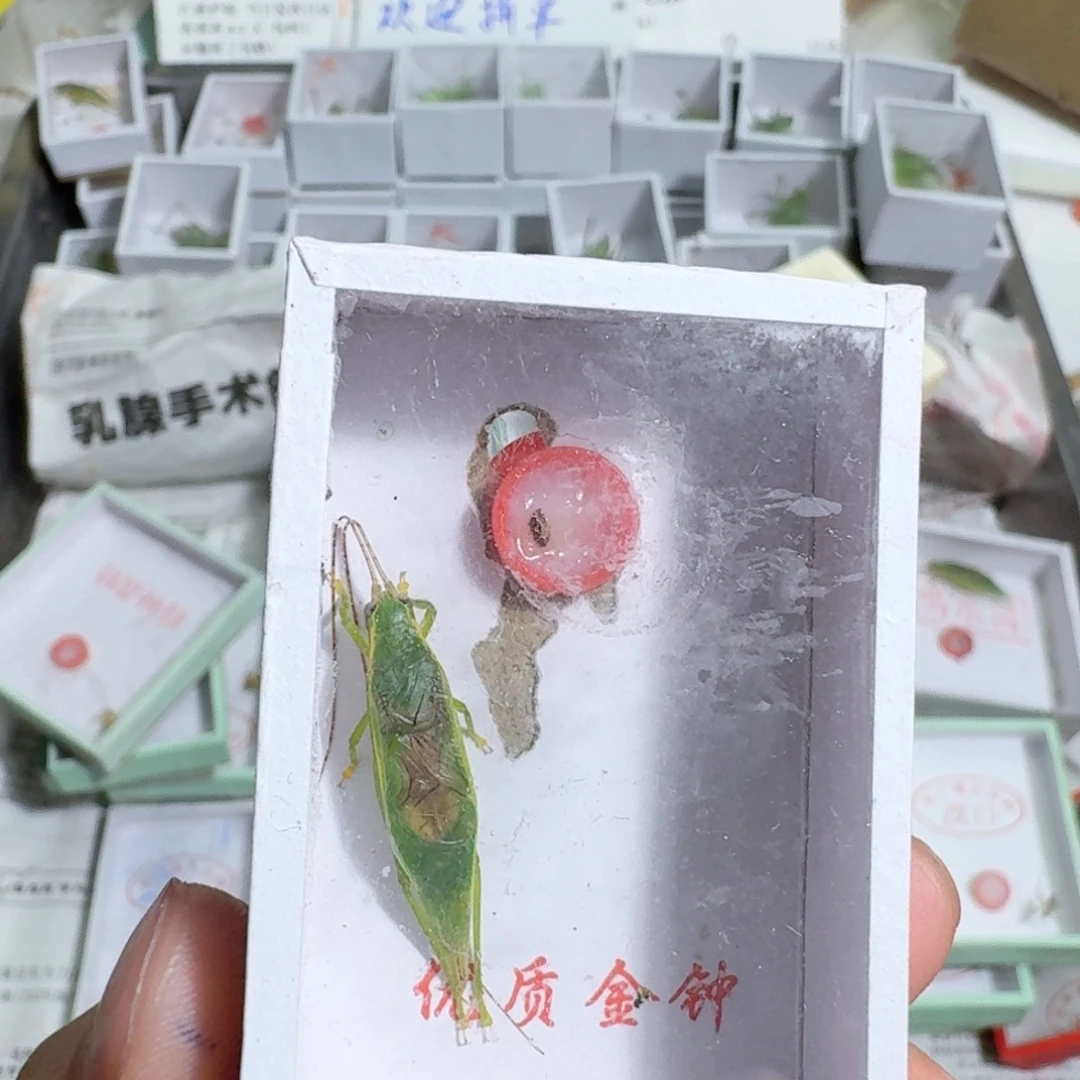 君***辞蟋蟀哈哈这都可以有哈